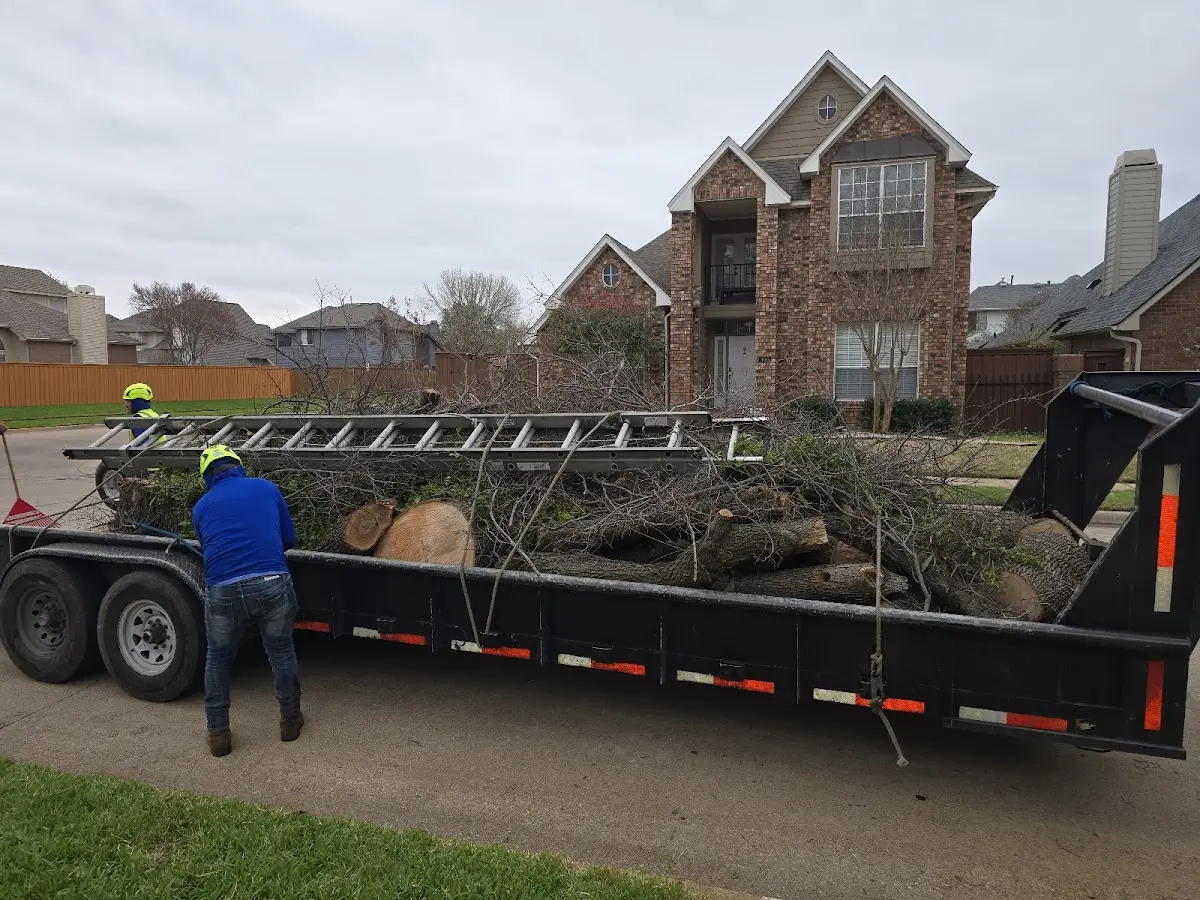 Expert Tree Removal with proper safety equipment in Silver Creek